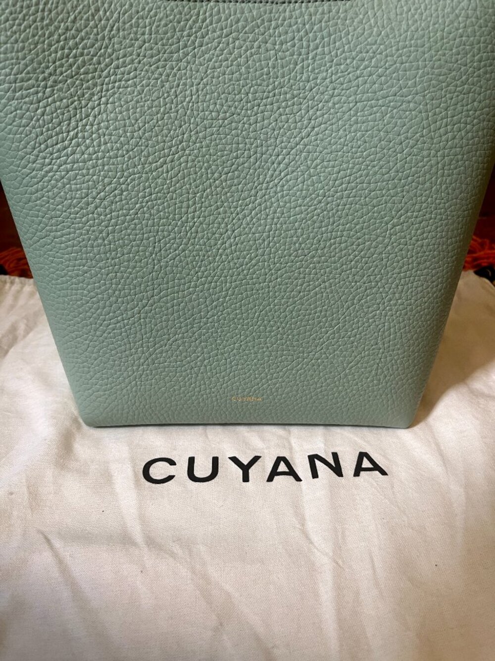CUYANA Linea Bucket Bag in Mint, Pebbled Leather Tote Purse - Picture 4 of 9